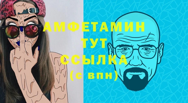 МДПВ Михайлов