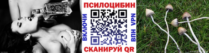 Галлюциногенные грибы Cubensis  где купить наркоту  Ростов-на-Дону 
