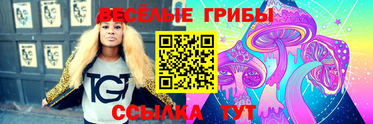 Ростов-на-Дону  Псилоцибиновые грибы мицелий  Псилоцибиновые грибы Psilocybe  Вход с VPN 